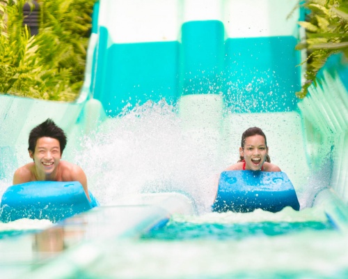 91c07ea5-0acc-42e1-b4b4-163e5c8c3a8f-7444-singapore-adventure-cove-waterpark-08